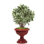 MACETERO IMPERIAL CAFE