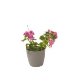 MACETERO GARDEN N2 PLAPASA